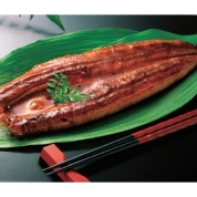 【夏の旨いうなぎ特集】[7/18・19お渡し]［吉川水産］国産うなぎ長焼き